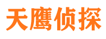 蓬溪侦探公司